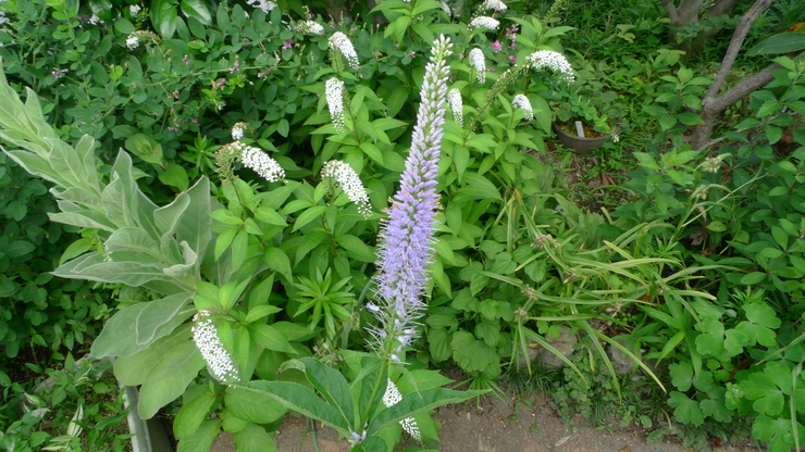 c0212083_23253637.jpg