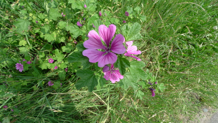 c0212083_23292117.jpg