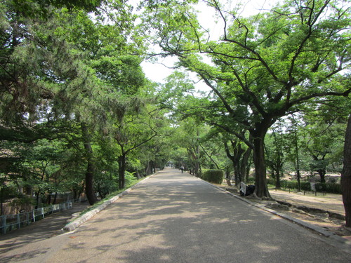 食後のポタリング　夙川〜芦屋浜_a0251786_2054854.jpg