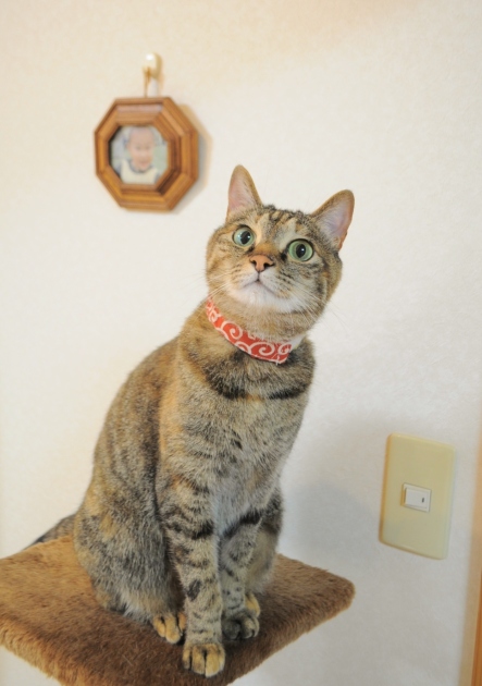 いつも通り_a0126590_23354636.jpg