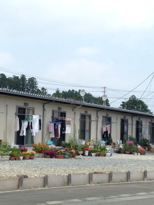 福島取材。_d0122797_1755192.jpg