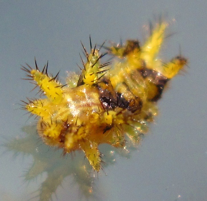 b0028598_1923517.jpg