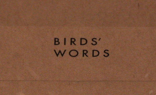 BIRDS\'WORDS_b0165512_1842758.jpg