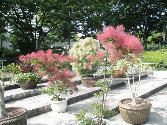 a0189513_531148.jpg