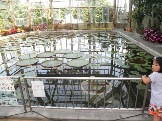 a0189513_5949100.jpg
