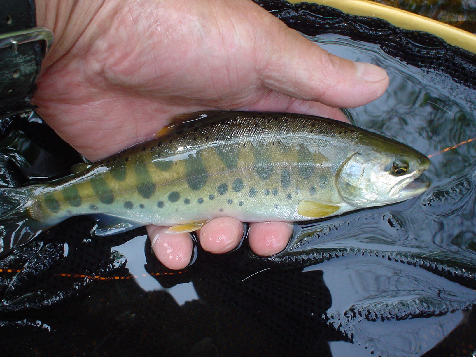 f0280717_20504.jpg