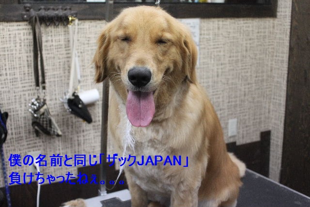 ８月はお休みはありませ～ん！！_b0130018_912084.jpg