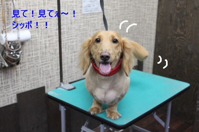 ８月はお休みはありませ～ん！！_b0130018_921239.jpg