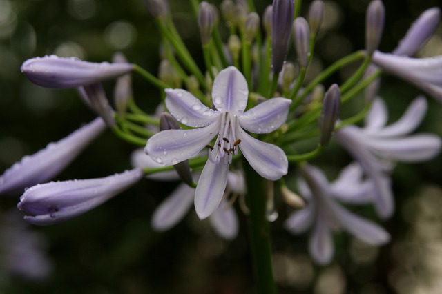 e0117318_15513497.jpg
