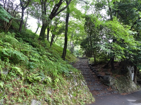 f0000521_713411.jpg