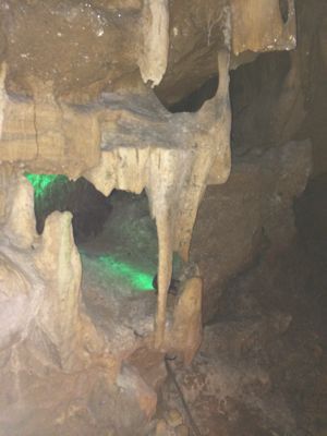 f0147821_21171254.jpg