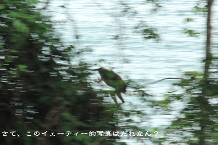 d0042827_1294893.jpg