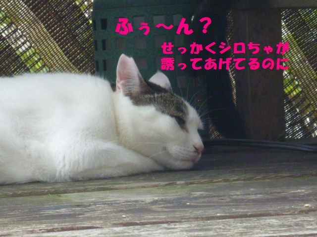 e0142430_144866.jpg