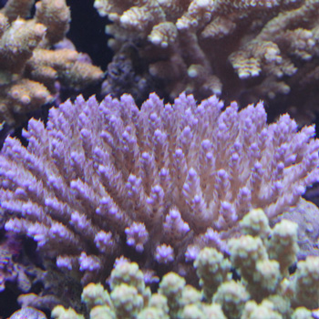 d0221436_22925.jpg