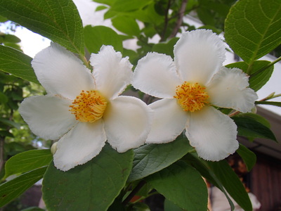 a0078344_18255031.jpg