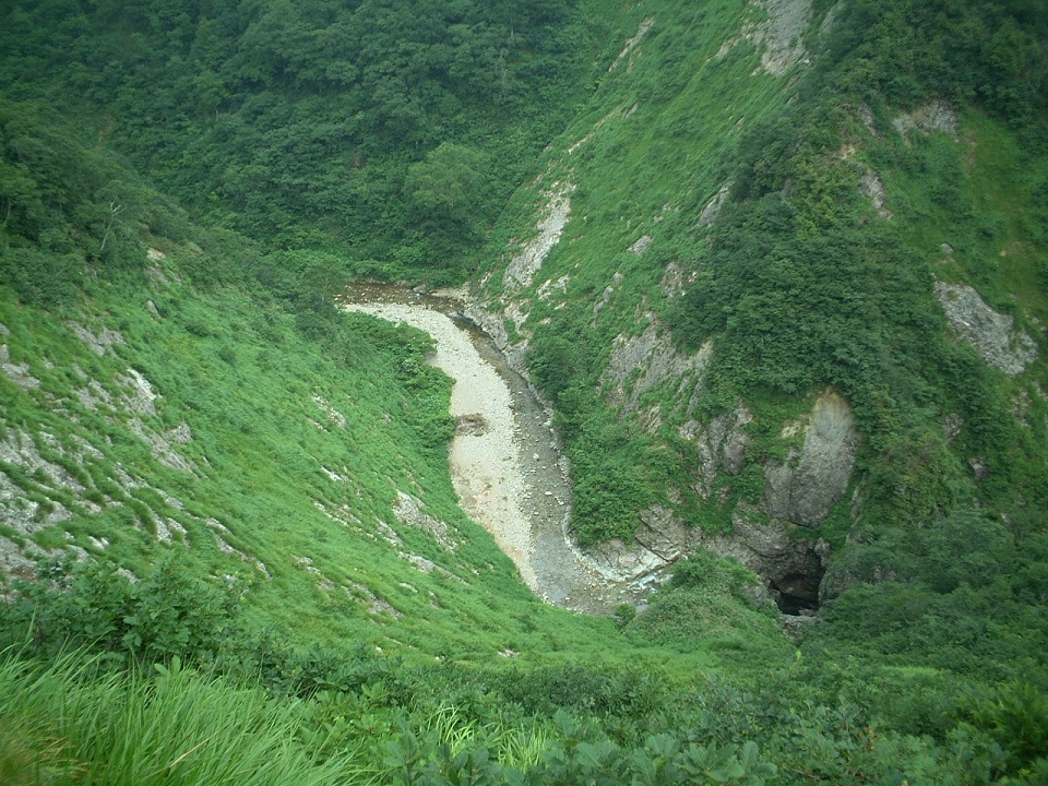 a0286351_42346.jpg