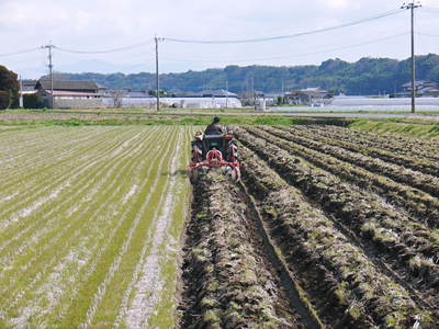 七城米 長尾農園 平成26年度の田植えに密着取材!!その1(田植えまでの田んぼ作り)_a0254656_19323532.jpg
