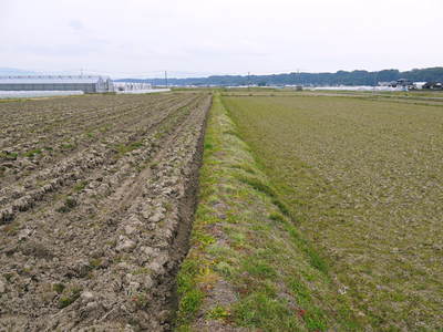 七城米 長尾農園 平成26年度の田植えに密着取材!!その1(田植えまでの田んぼ作り)_a0254656_1940159.jpg