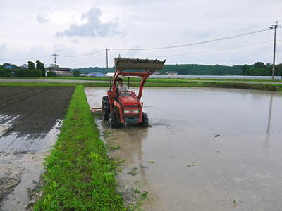七城米 長尾農園 平成26年度の田植えに密着取材!!その1(田植えまでの田んぼ作り)_a0254656_2053040.jpg