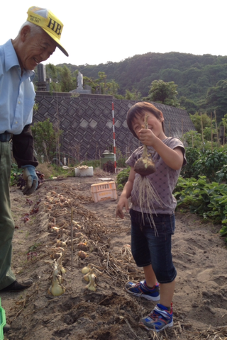 春樹のお手伝いは食材の収穫作業_f0009169_7572677.png