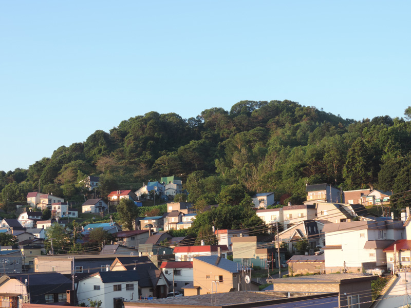 d0067476_6194520.jpg