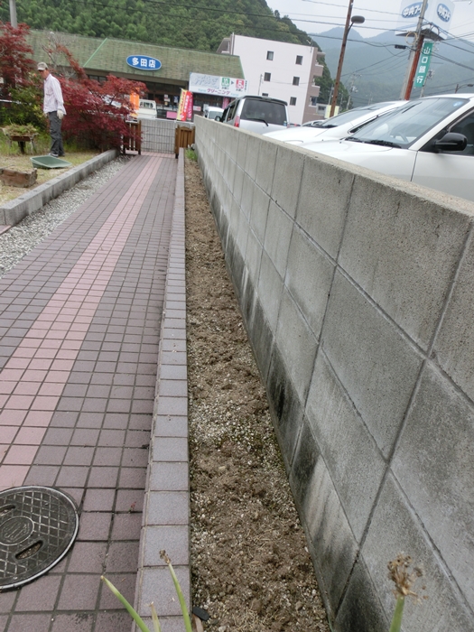 a0199979_18392055.jpg