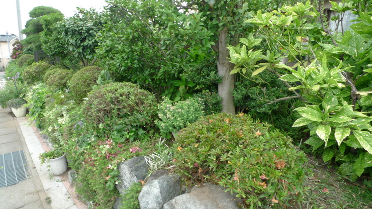 c0212083_2173162.jpg