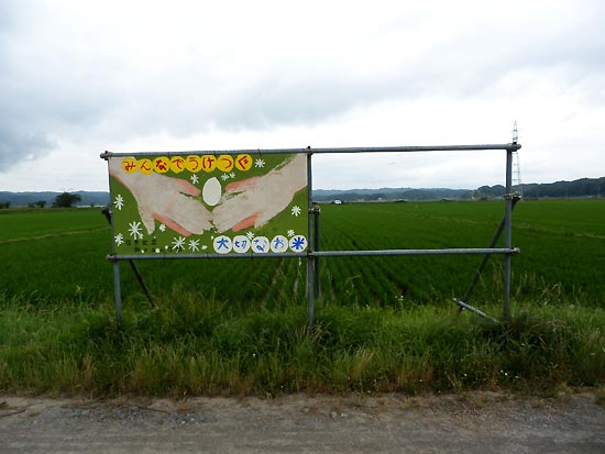 6月27日の田んぼ(緑ヶ丘小・北郷小)_d0247484_1625145.jpg