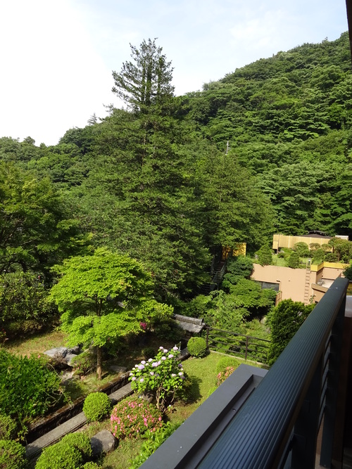 箱根6。。。。_b0210688_14531844.jpg