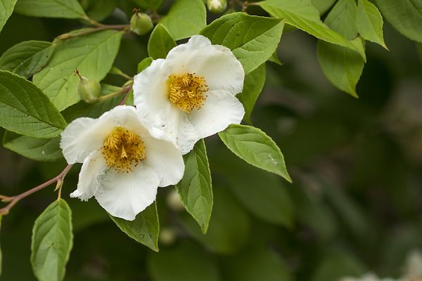 e0193503_2094937.jpg