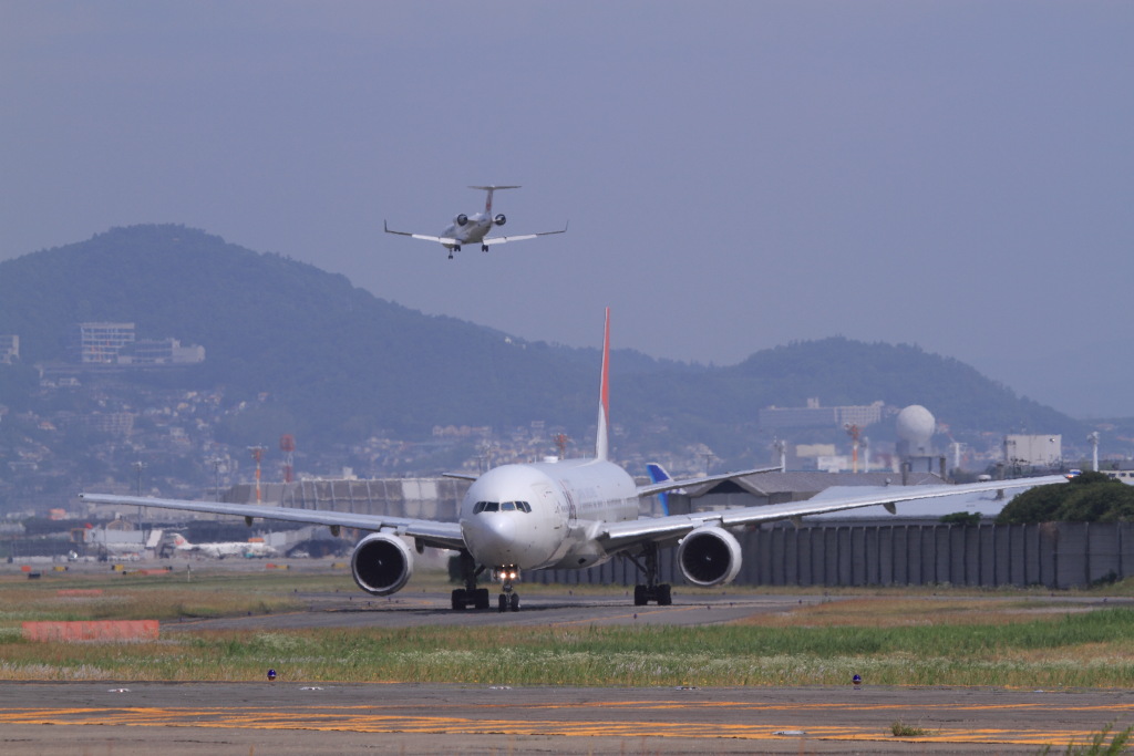 大阪空港周辺で飛行機撮ってみた_a0123415_16482968.jpg