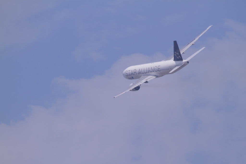 大阪空港周辺で飛行機撮ってみた_a0123415_1651356.jpg