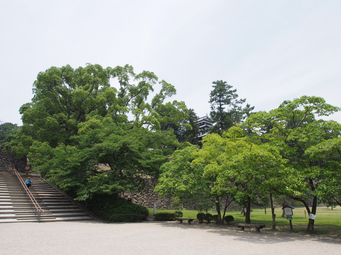 b0224616_11101489.jpg