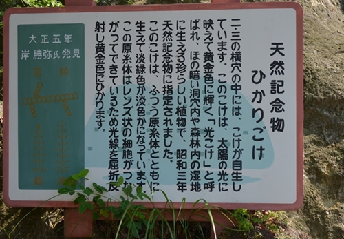 c0223117_1122619.jpg
