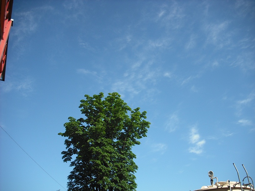 a0173819_752525.jpg