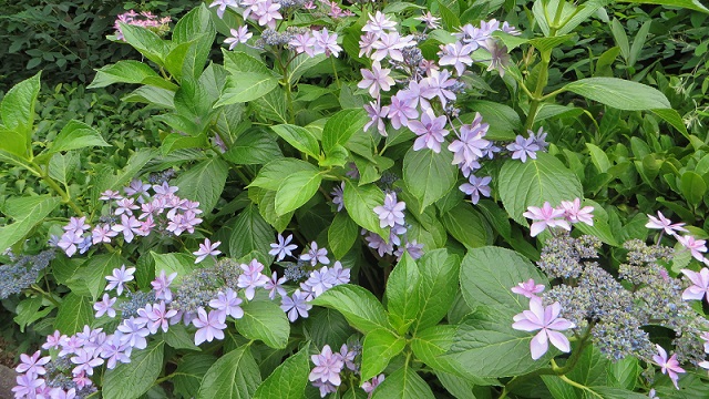 c0280322_17401881.jpg