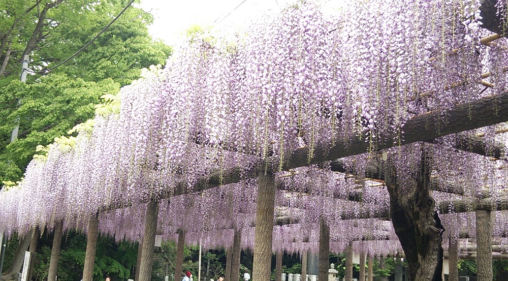 b0199924_19152538.jpg