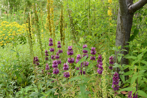c0107129_4441241.jpg