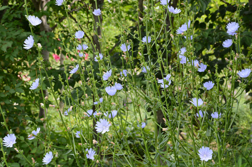 c0107129_444411.jpg