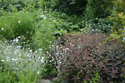 c0107129_4474679.jpg