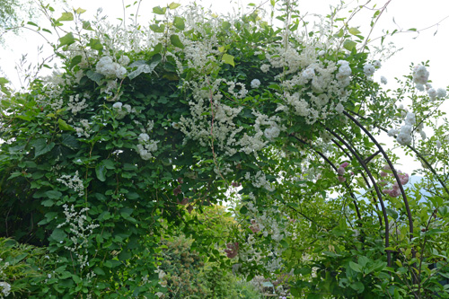 c0107129_4502690.jpg