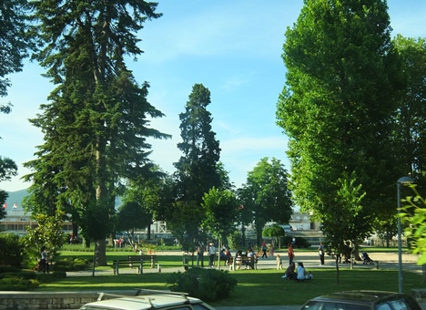 c0051938_76539.jpg