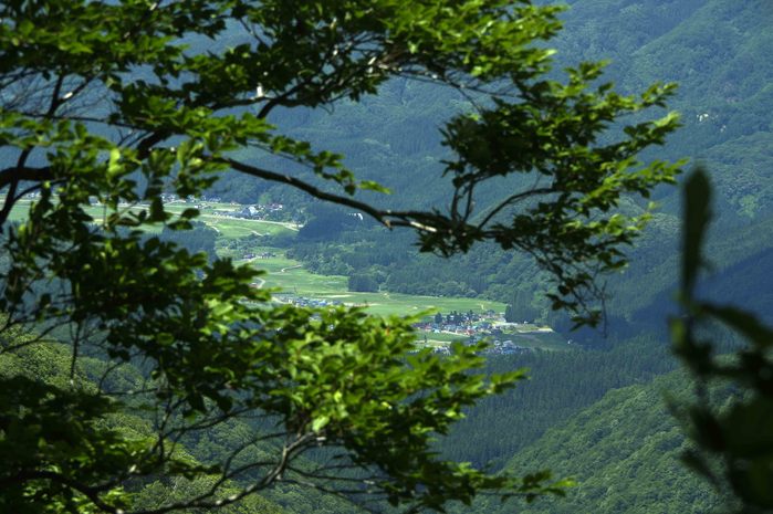 キヌガサソウ山行      (神室山 役内～西ノ又川)_d0237340_2115227.jpg