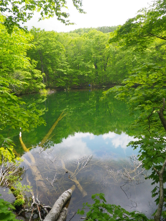 b0207642_16285410.jpg