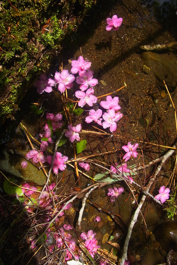 b0207642_16333748.jpg