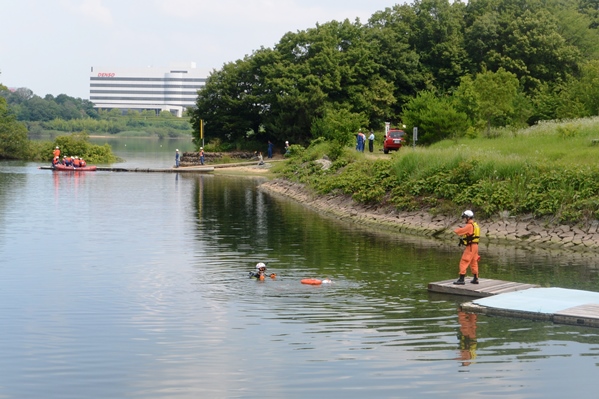 ブルーのアジサイの花摘みと剪定_f0313744_21384388.jpg