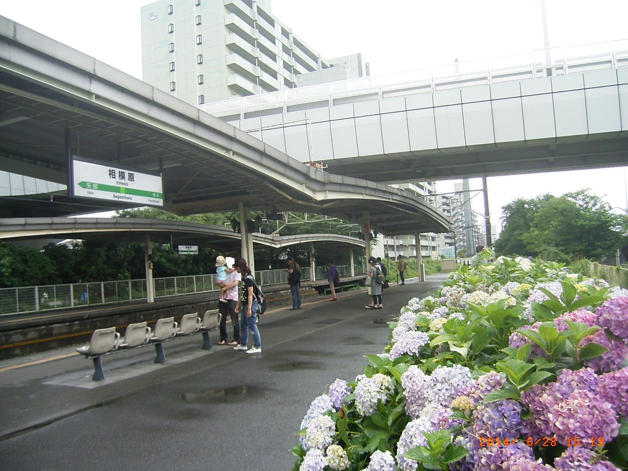 c0247346_20213488.jpg