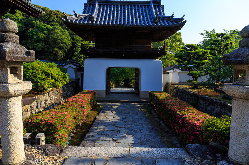 夕照に輝くサツキ（宇治・興聖寺）_f0155048_17141440.jpg