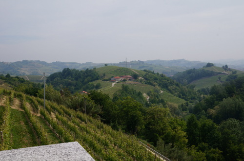 イタリア・スローフード食材の旅2014春（5）_c0003150_13372108.jpg