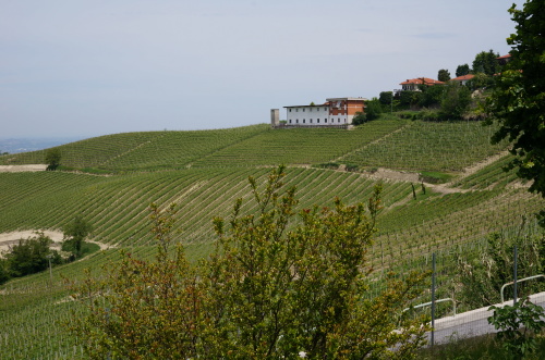 イタリア・スローフード食材の旅2014春（5）_c0003150_13395303.jpg